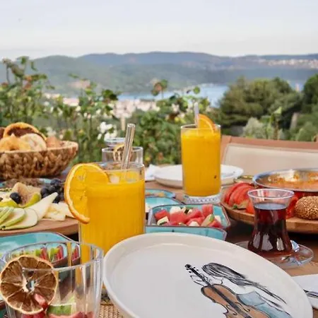 Domes Village فندق مبيت وإفطار *